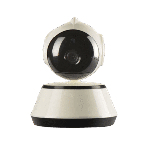 Fusce nec diam et dolor