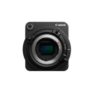 Morbi pulvinar augue lorem