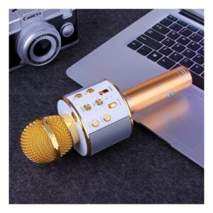 Microfono para Fiesta Karaoke Dorado