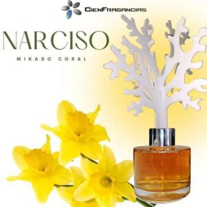 Ambientador de Hogar Cien Fragancias Mikado Coral Canela y Naranja 100ml