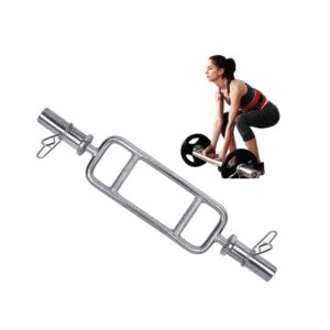 Barra Romana Olimíca para Pesas y Discos Gimnasio y Seguros