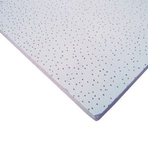 Cielo Raso Pegasus 14 x 610 x 1220 mm x10 unids.