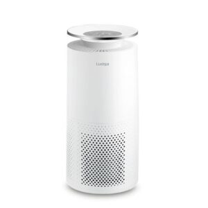 Purificador de Aire Ludga 6218