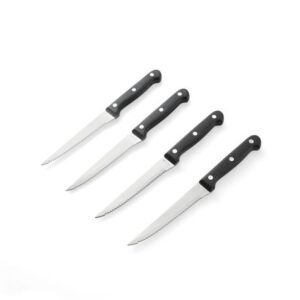 Set de cuchillos 4 piezas