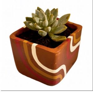 Maceta con Diseño Animalista y Planta