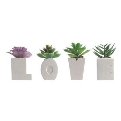 Planta Love 11 cm