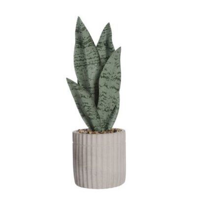 Planta Snake 35 cm