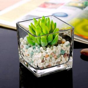Portavela en Forma de Cubo Libbey 12.7 cm