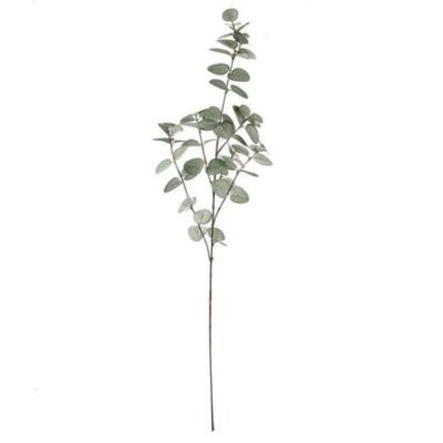 Rama Verde 88 cm
