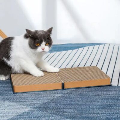 Rascador Libro Halloween Para Gatos