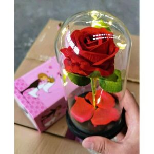 Rosa Eterna Adorno cúpula inspirado en la Bella y La Bestia luz led