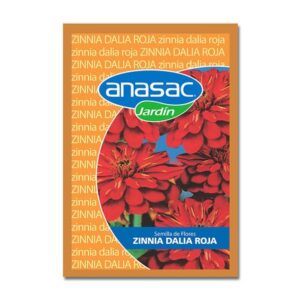 Semilla de Zinnia Dalia Roja
