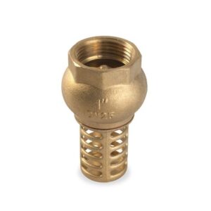 Válvula Check Pie 1