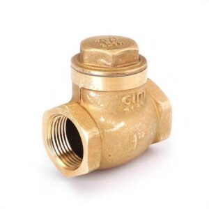 Válvula Check Swing Neoprene 250 lbs 1