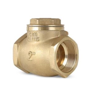 Válvula Check Swing Neoprene 250 lbs 2