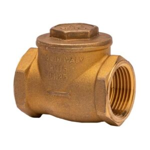 Válvula Check Swing Neoprene Clapet X1/2"