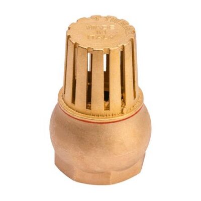 Válvula de canastilla X1″