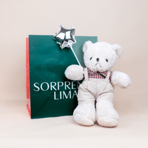 Teddy Osito con ropa