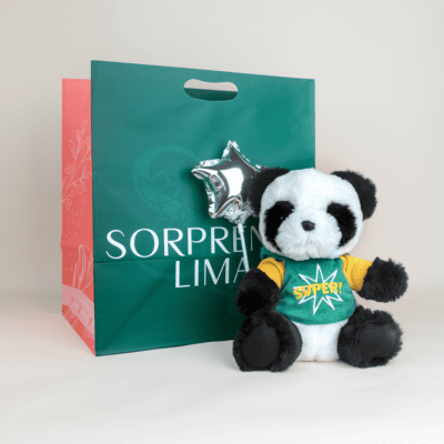 Teddy Panda cool