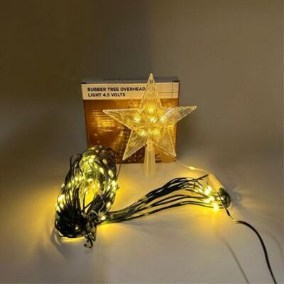 Luces Navideñas de 2m con Puntera en Estrella CV904 Floripastore