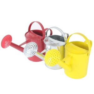 "Regadera Metálica 3L 40x17.5x22cm"