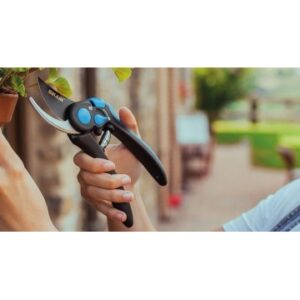 Tijera de Poda BIKAIN - 31R