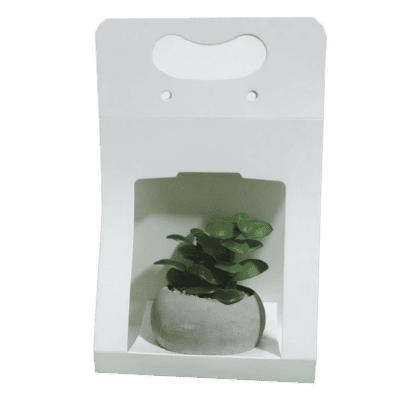 Suculenta 6 (11.5 x 8  x 21)