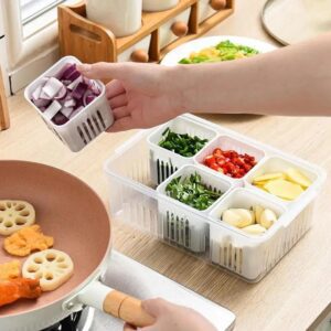 Bandeja de 6 divisiones