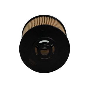 Filtro de Aceite Coolray (2021-2022)