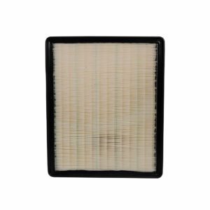 Filtro de Aire Central GX3 (2019-2023)