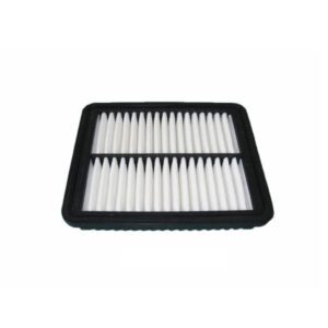 Filtro de Aire Eon (2011-2018)