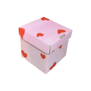 Caja en forma de cubo rosa/roja