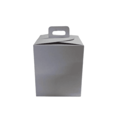 Cajas para panetón 900gr