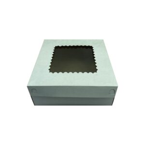 CAJA DE PYE CON VENTANA - BLANCO (25X25X10CM)