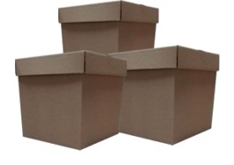 Nunc tempus facilisis