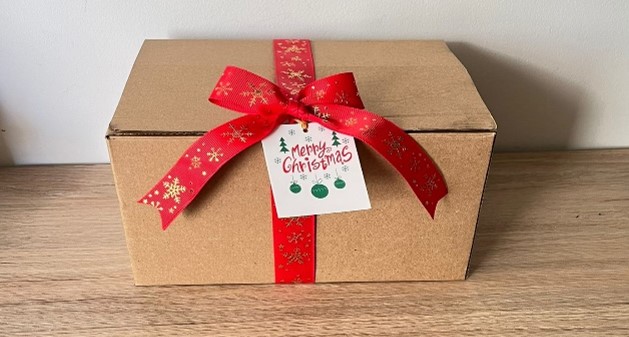 Morbi pulvinar augue lorem