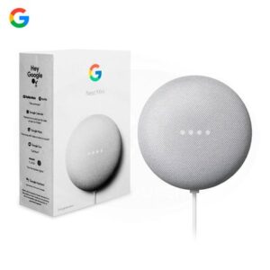 Asistente Inteligente Google Nest Mini Gris