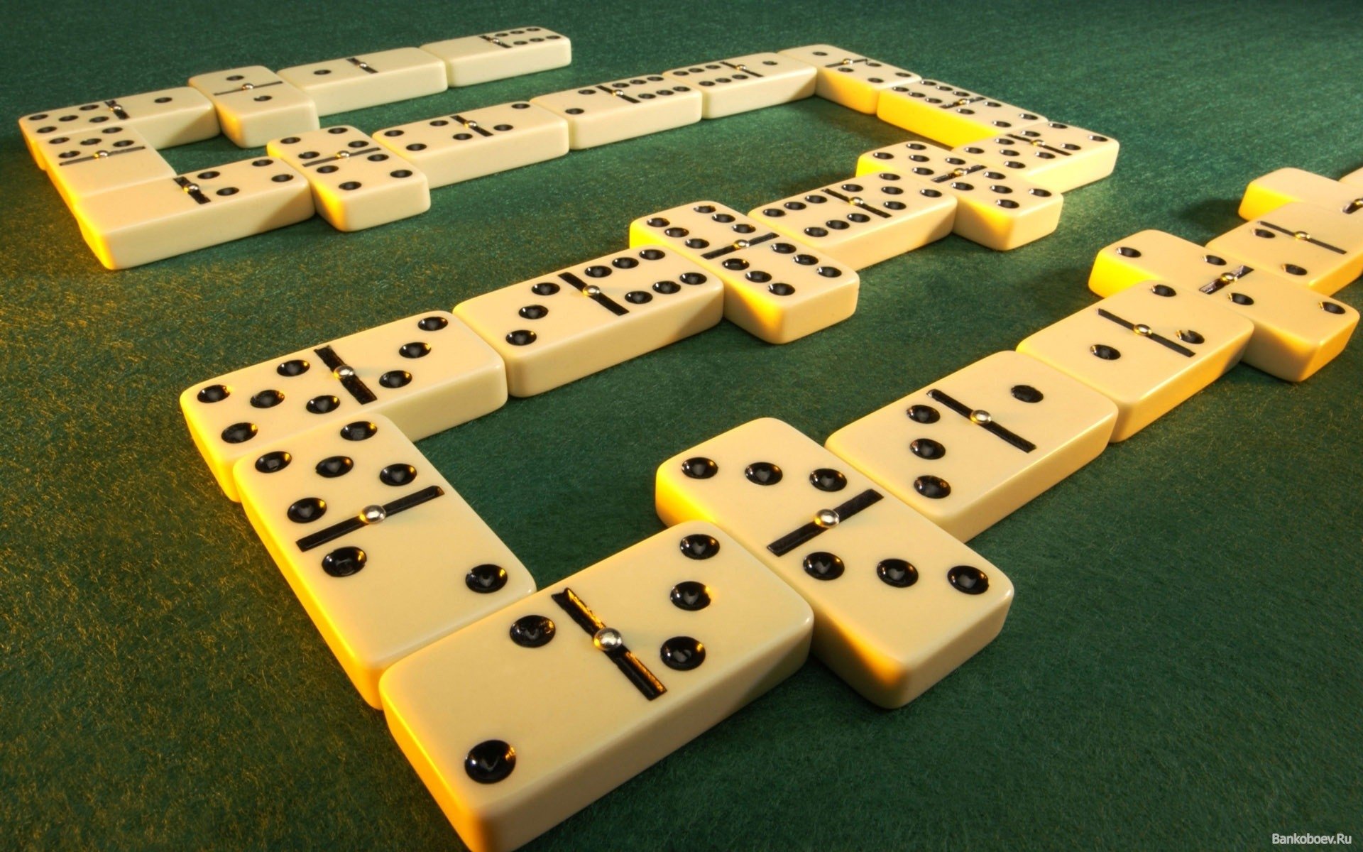 Domino