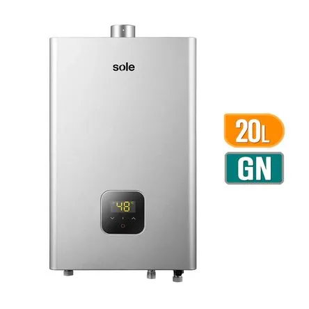 Calentador instantáneo Gn T/forzado 20 litros