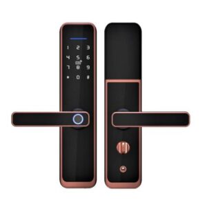 Cerradura de Exterior Inteligente WiFi X3 Plus Bronce