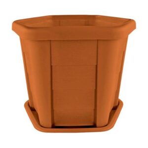 Macetero Pequeño Café Cedro Pica