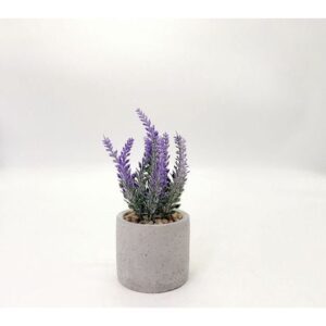 Planta Lavanda 19 cm