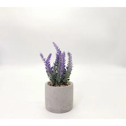 Planta Lavanda 19 cm