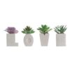 Planta Love 11 cm