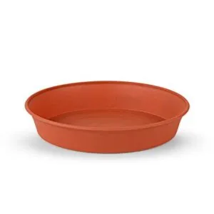 Plato para maceta tulipán N°16