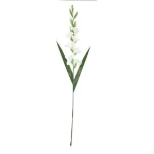 Rama Blanca 95 cm