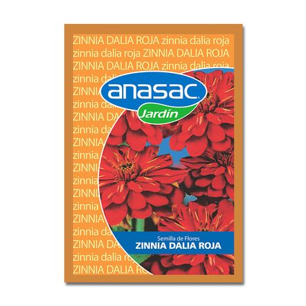 Semilla de Zinnia Dalia Roja