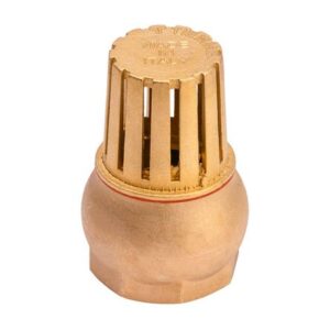 Válvula de canastilla X1"