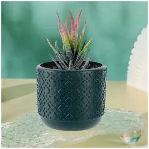 "Maceta Decorativa Macetero Circular L53 Verde"