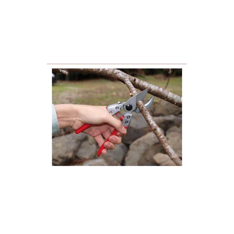 Tijera grande de poda ARS - VA-8Z Tijera grande de poda ARS – VA-8Z